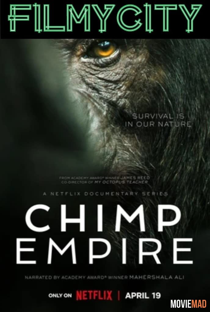 full moviesChimp Empire (Season 1) Complete Hindi Dubbed Series HDRip 720p 480p